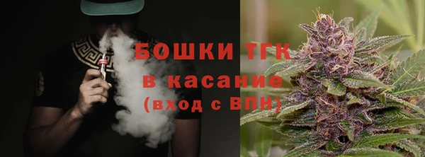сатива Армянск