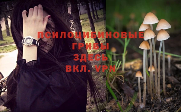 прущий лед Медногорск