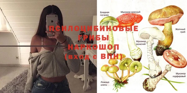 гидропоника Аркадак