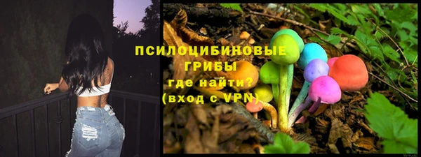 гидропоника Аркадак